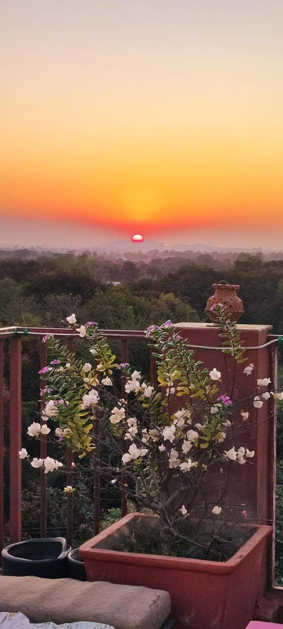 Bed and Breakfast The Secret Garden Pushkar Exterior foto